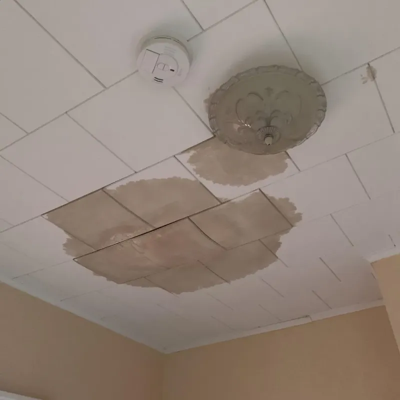 Ceiling Water Damage Repair in Avondale, LA